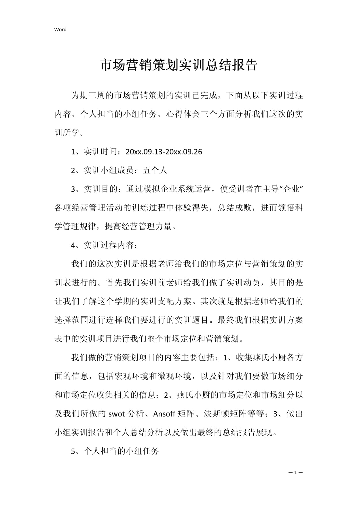 市場營銷策劃實訓(xùn)總結(jié)報告