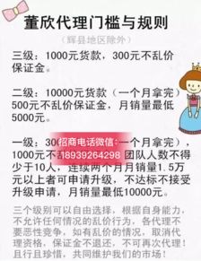 央視曝光董欣品牌引發關注，解析其官方代理招募模式與市場營銷策略